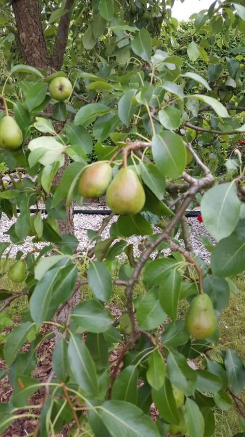Domek Nad Jeziorem Bystrzyna Świdwin エクステリア 写真