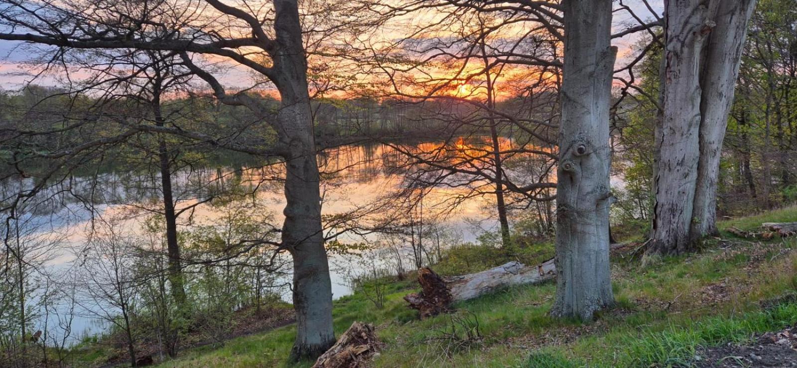 Domek Nad Jeziorem Bystrzyna Świdwin エクステリア 写真